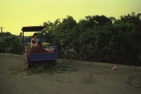 藏品(1950至2006年臺灣常民生活)的圖片
