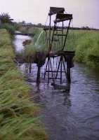 藏品(1950至2006年臺灣常民生活)的圖片