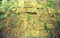 藏品(1950至2006年臺灣常民生活)的圖片