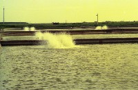 藏品(1950至2006年臺灣常民生活)的圖片