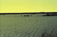 藏品(1950至2006年臺灣常民生活)的圖片