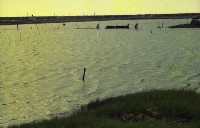 藏品(1950至2006年臺灣常民生活)的圖片