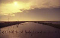 藏品(1950至2006年臺灣常民生活)的圖片