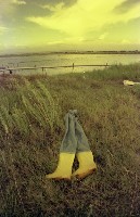 藏品(1950至2006年臺灣常民生活)的圖片