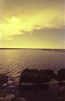 藏品(1950至2006年臺灣常民生活)的圖片