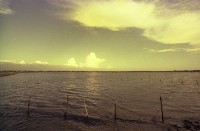 藏品(1950至2006年臺灣常民生活)的圖片