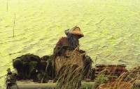 藏品(1950至2006年臺灣常民生活)的圖片