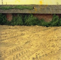 藏品(1950至2006年臺灣常民生活)的圖片