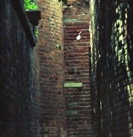 藏品(1950至2006年臺灣常民生活)的圖片