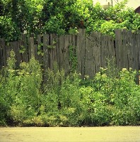 藏品(1950至2006年臺灣常民生活)的圖片