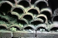 藏品(1950至2006年臺灣常民生活)的圖片