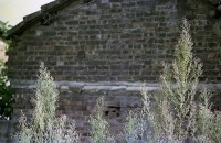 藏品(1950至2006年臺灣常民生活)的圖片