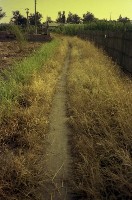 藏品(1950至2006年臺灣常民生活)的圖片