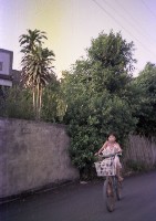 藏品(1950至2006年臺灣常民生活)的圖片