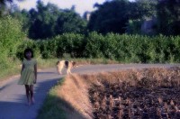 藏品(1950至2006年臺灣常民生活)的圖片