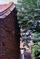 藏品(1950至2006年臺灣常民生活)的圖片