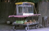 藏品(1950至2006年臺灣常民生活)的圖片