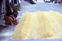 藏品(1950至2006年臺灣常民生活)的圖片