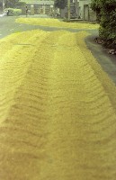 藏品(1950至2006年臺灣常民生活)的圖片