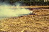 藏品(1950至2006年臺灣常民生活)的圖片