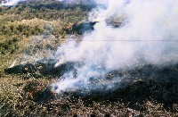 藏品(1950至2006年臺灣常民生活)的圖片