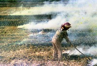 藏品(野燒（1950至2006年臺灣常民生活）)的圖片