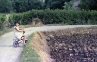 藏品(1950至2006年臺灣常民生活)的圖片