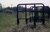 藏品(1950至2006年臺灣常民生活)的圖片