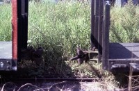 藏品(1950至2006年臺灣常民生活)的圖片