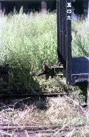 藏品(1950至2006年臺灣常民生活)的圖片