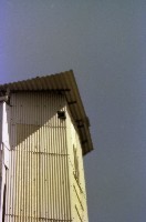 藏品(1950至2006年臺灣常民生活)的圖片