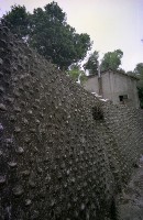 藏品(1950至2006年臺灣常民生活)的圖片