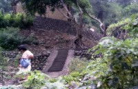 藏品(1950至2006年臺灣常民生活)的圖片