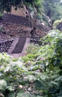 藏品(1950至2006年臺灣常民生活)的圖片