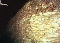 藏品(1950至2006年臺灣常民生活)的圖片