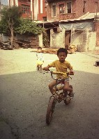 藏品(1950至2006年臺灣常民生活)的圖片