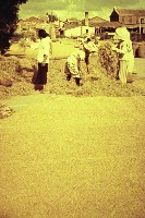 藏品(1950至2006年臺灣常民生活)的圖片