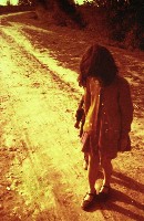 藏品(1950至2006年臺灣常民生活)的圖片