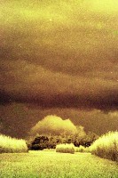 藏品(1950至2006年臺灣常民生活)的圖片