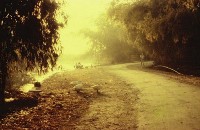 藏品(1950至2006年臺灣常民生活)的圖片