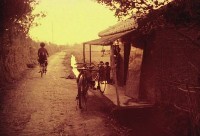 藏品(1950至2006年臺灣常民生活)的圖片