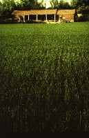 藏品(1950至2006年臺灣常民生活)的圖片