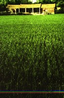 藏品(1950至2006年臺灣常民生活)的圖片