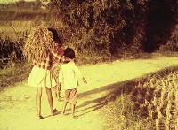 藏品(1950至2006年臺灣常民生活)的圖片