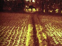 藏品(1950至2006年臺灣常民生活)的圖片