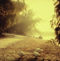 藏品(1950至2006年臺灣常民生活)的圖片