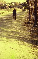 藏品(1950至2006年臺灣常民生活)的圖片