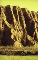 藏品(1950至2006年臺灣常民生活)的圖片