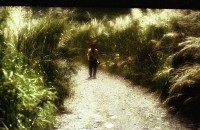 藏品(1950至2006年臺灣常民生活)的圖片