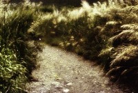 藏品(1950至2006年臺灣常民生活)的圖片